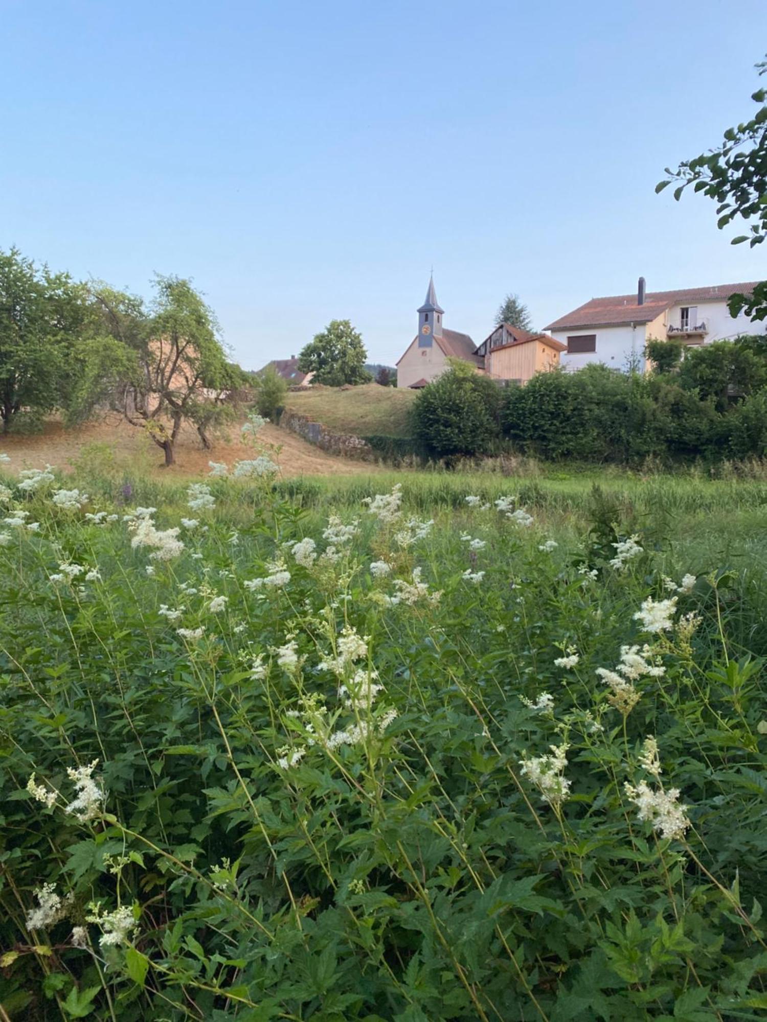 Le Refuge De L'Ours Villa Baerenthal Eksteriør bilde
