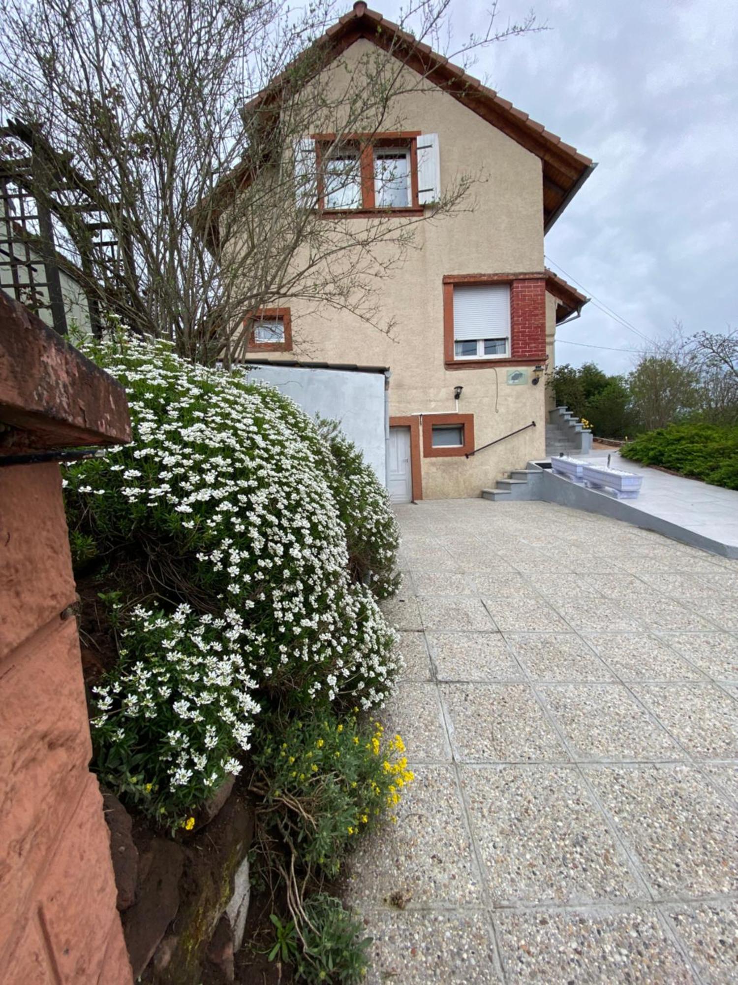 Le Refuge De L'Ours Villa Baerenthal Eksteriør bilde