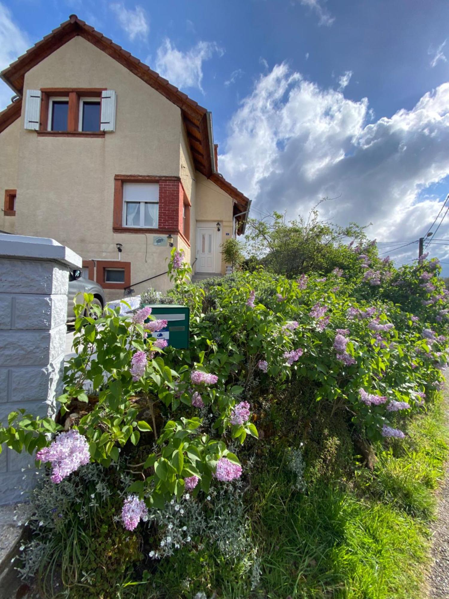 Le Refuge De L'Ours Villa Baerenthal Eksteriør bilde
