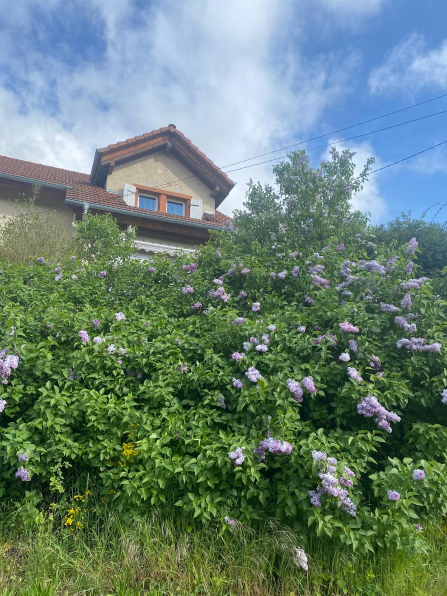 Le Refuge De L'Ours Villa Baerenthal Eksteriør bilde